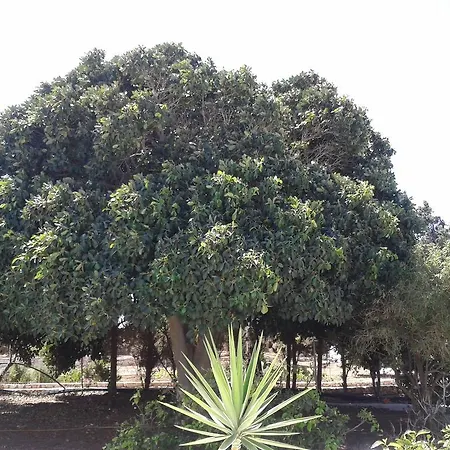 Wind Paros Villa Pounda
