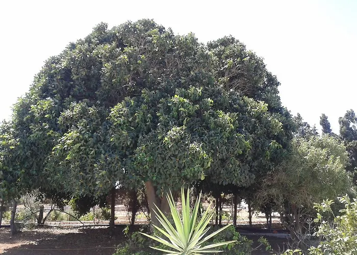 Wind Paros Willa Pounda